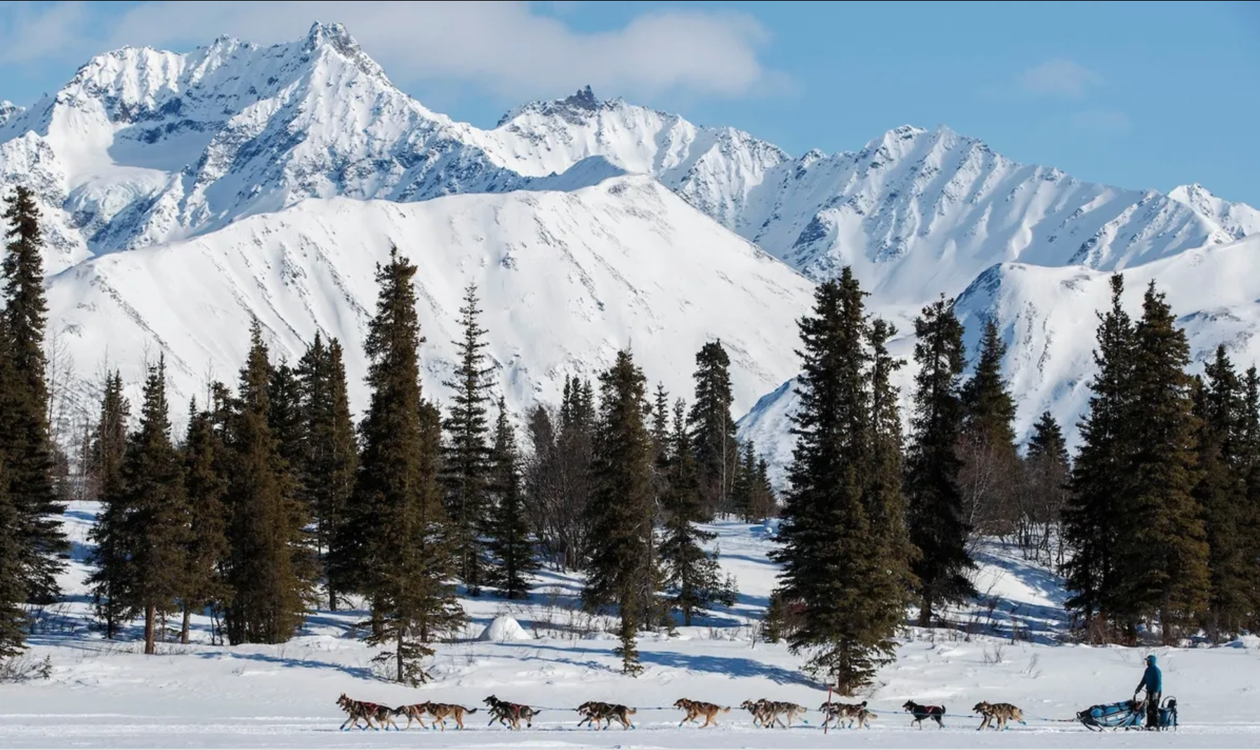 10 things to do in Alberta this Winter