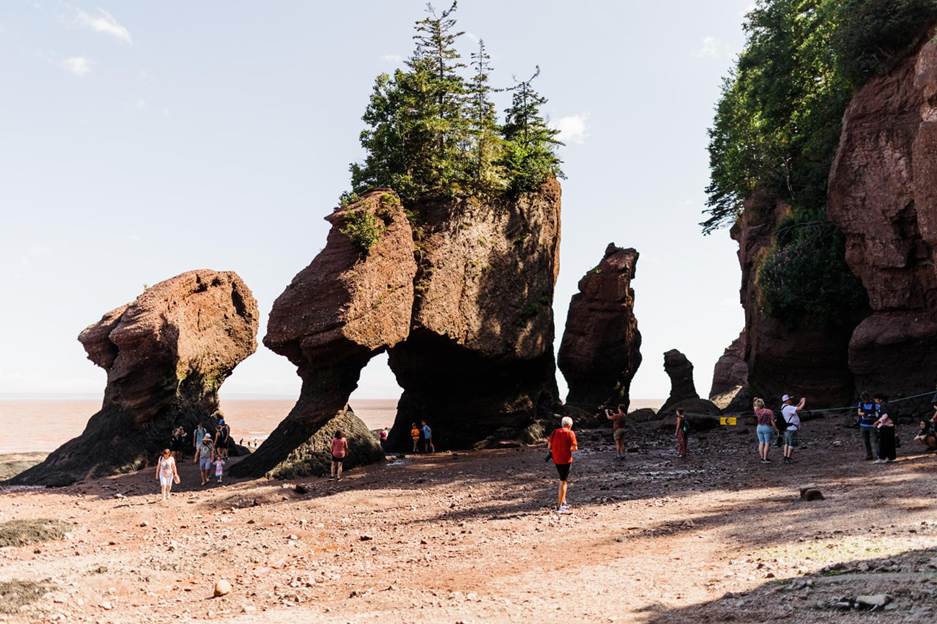 A group of people standing on a rocky beach with Hopewell Rocks in the background

AI-generated content may be incorrect.