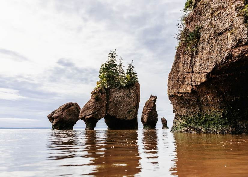 A group of rocks in water

AI-generated content may be incorrect.