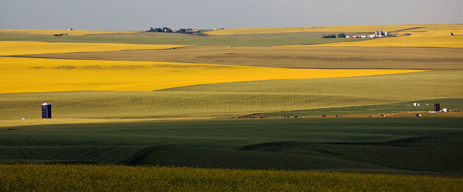 Prairies Tours