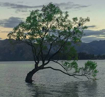 
        [hplImageResource]