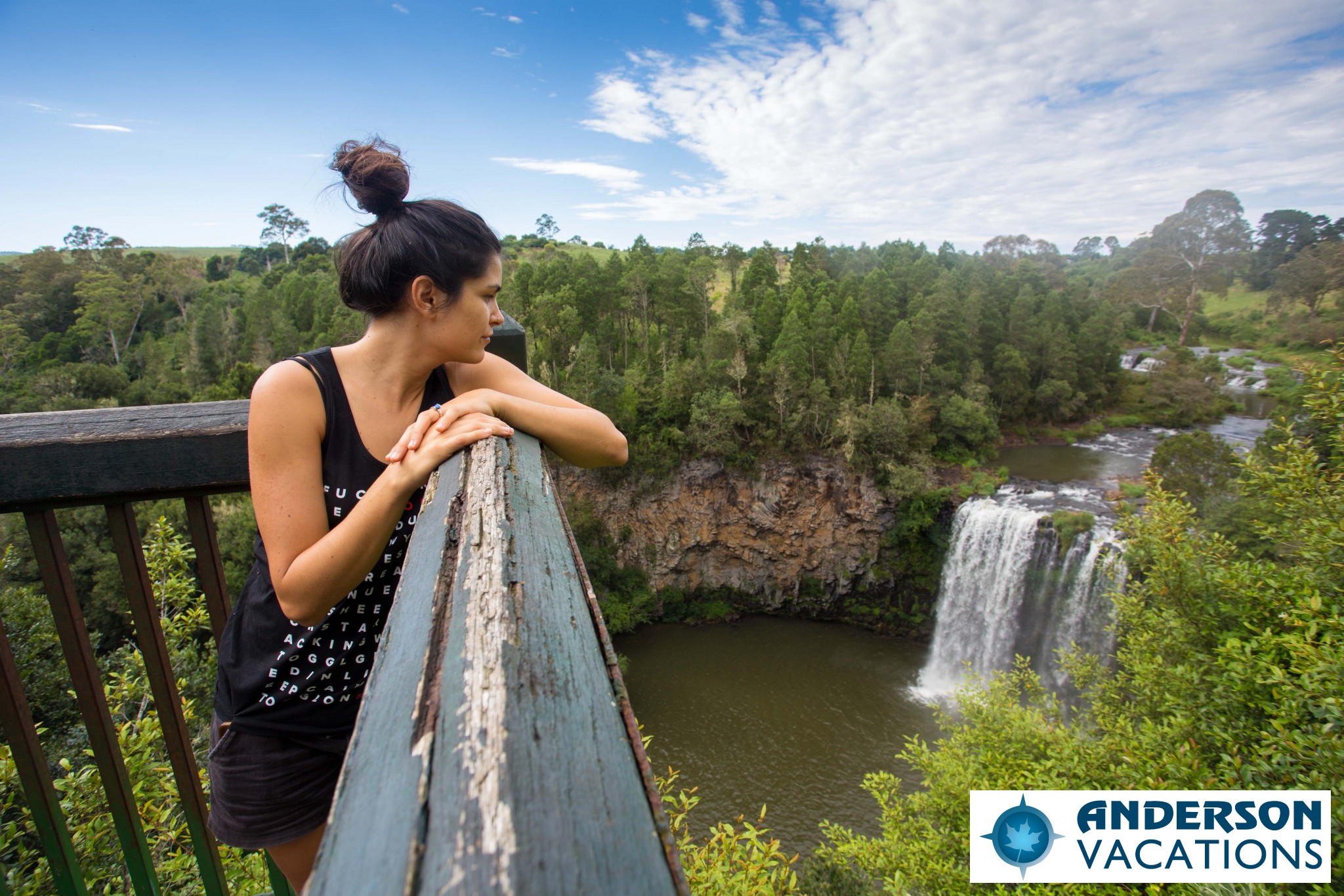 Dangar Falls Dorrigo National Park