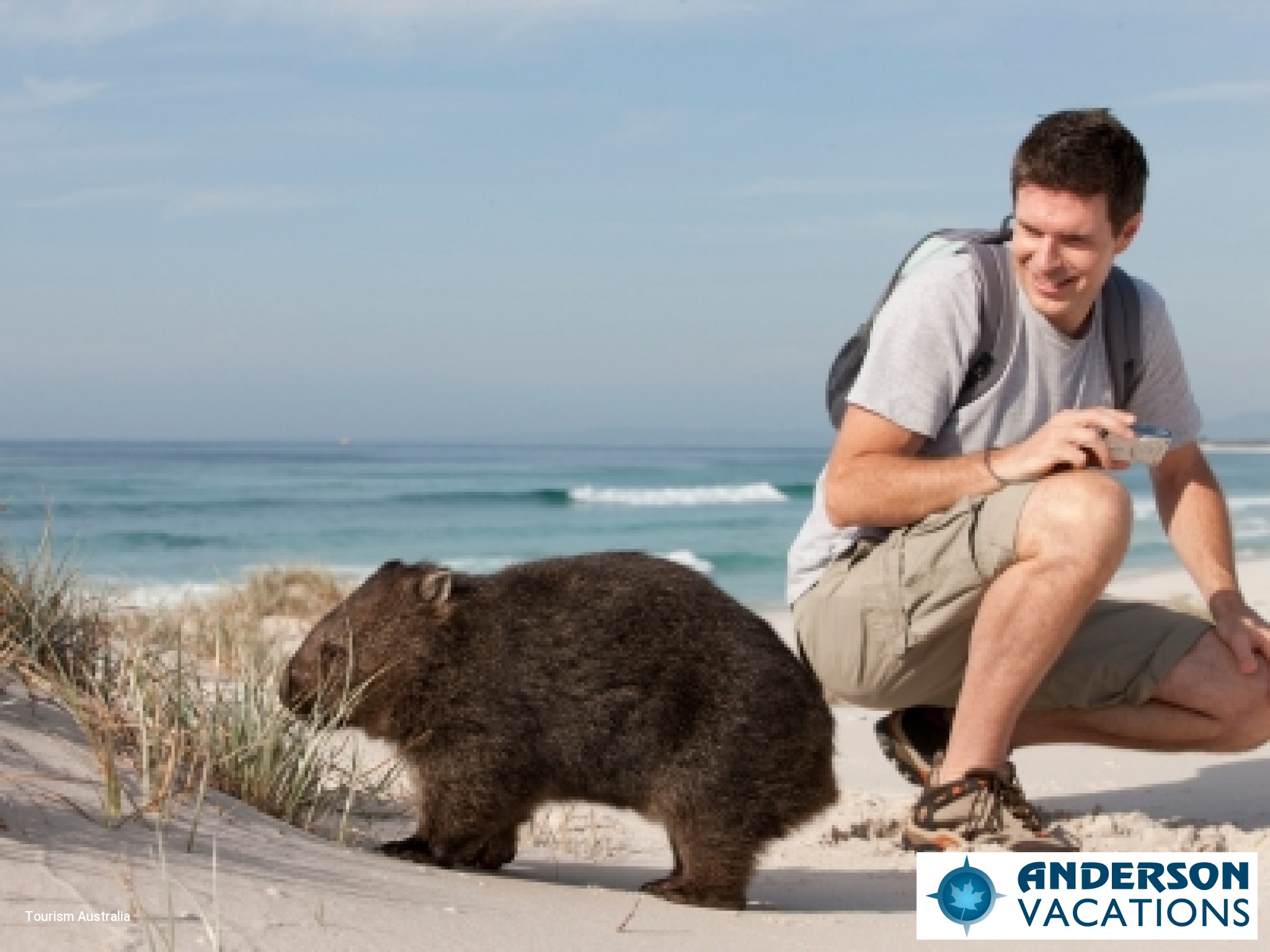 Bay of Fires - Wombat