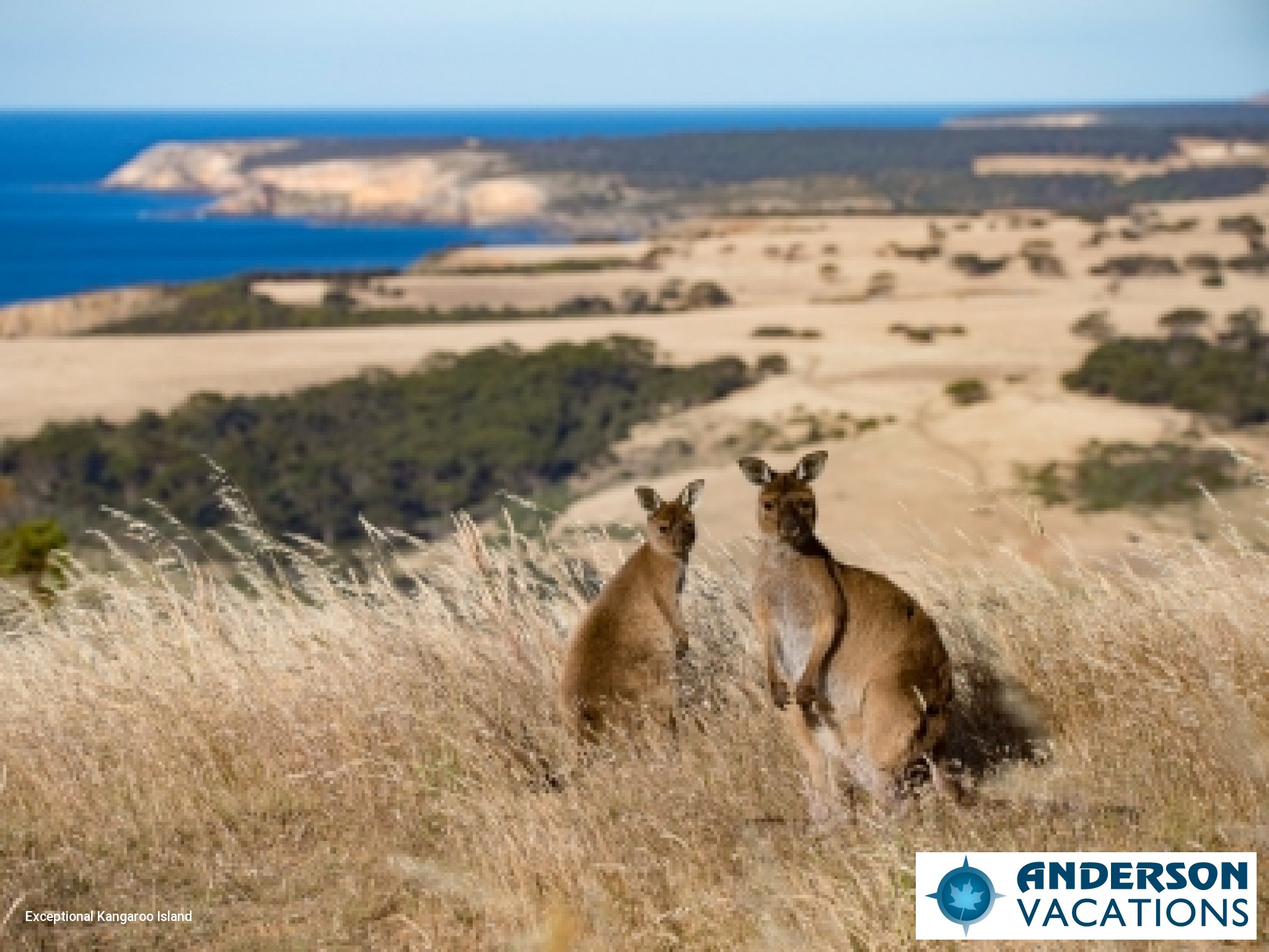 Kangaroo Island