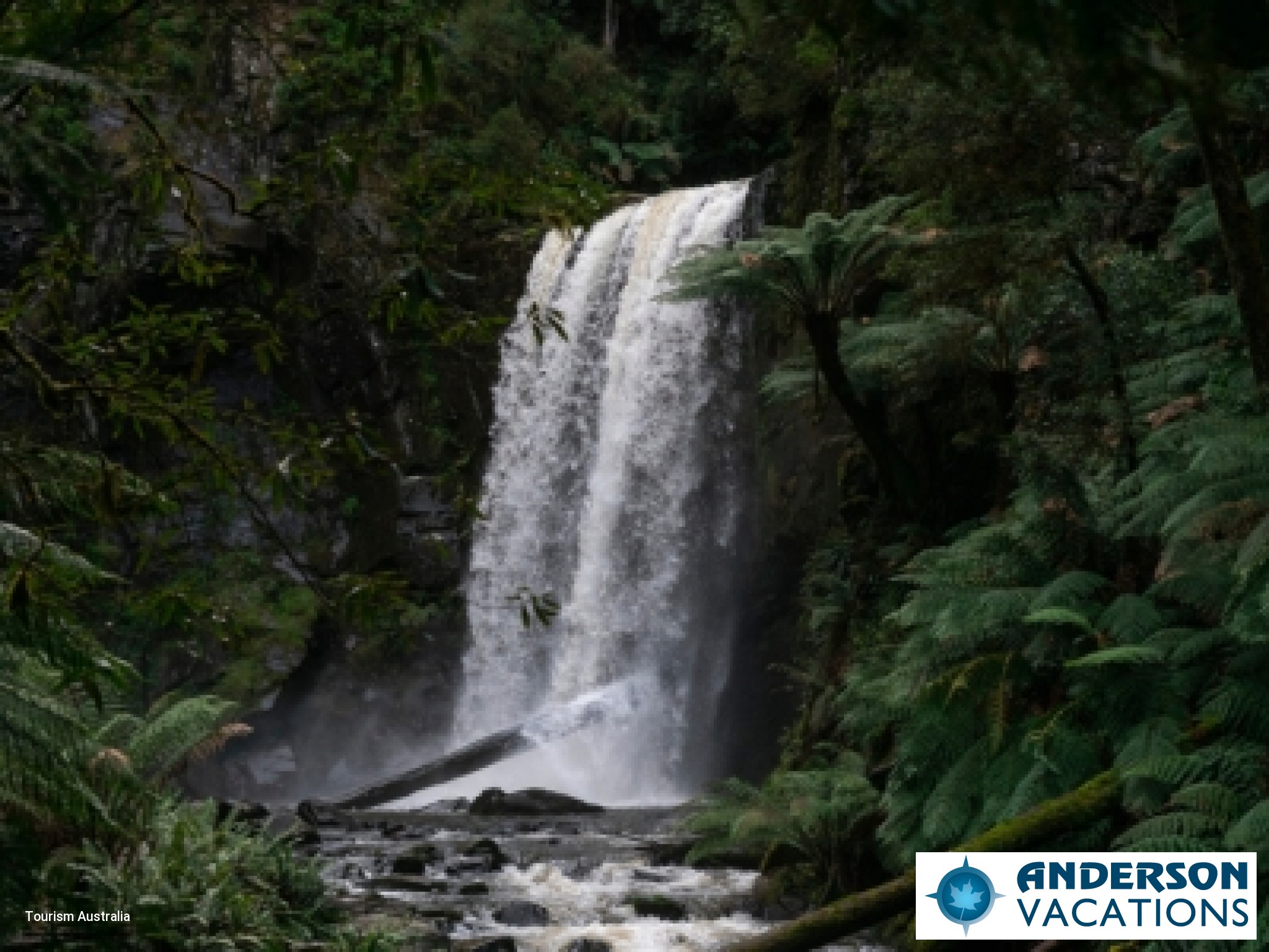 Great Otway National Park Waterfall