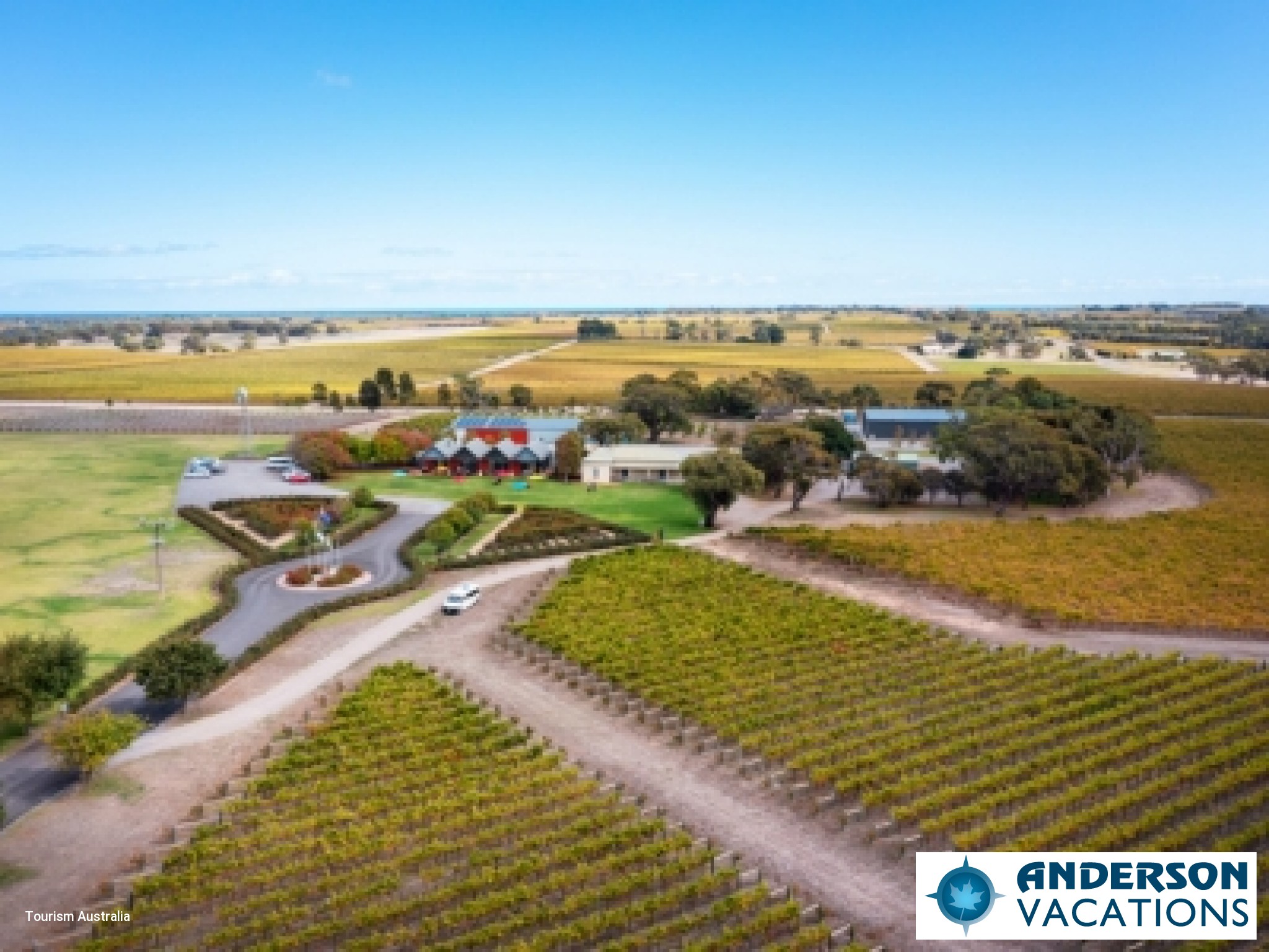 Coonawarra - Leconfield Winery