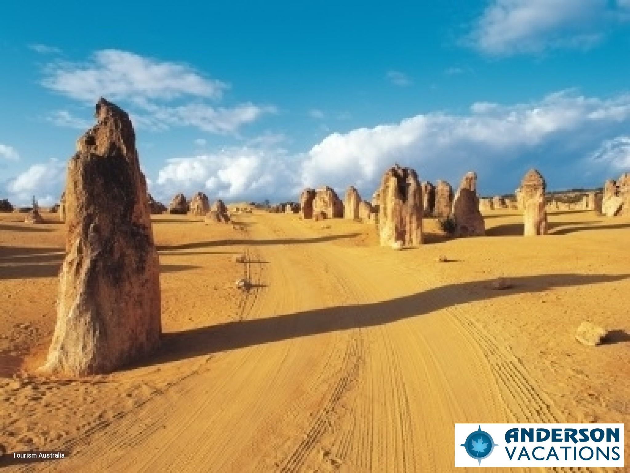 Pinnacles Desert - Nambung National Park