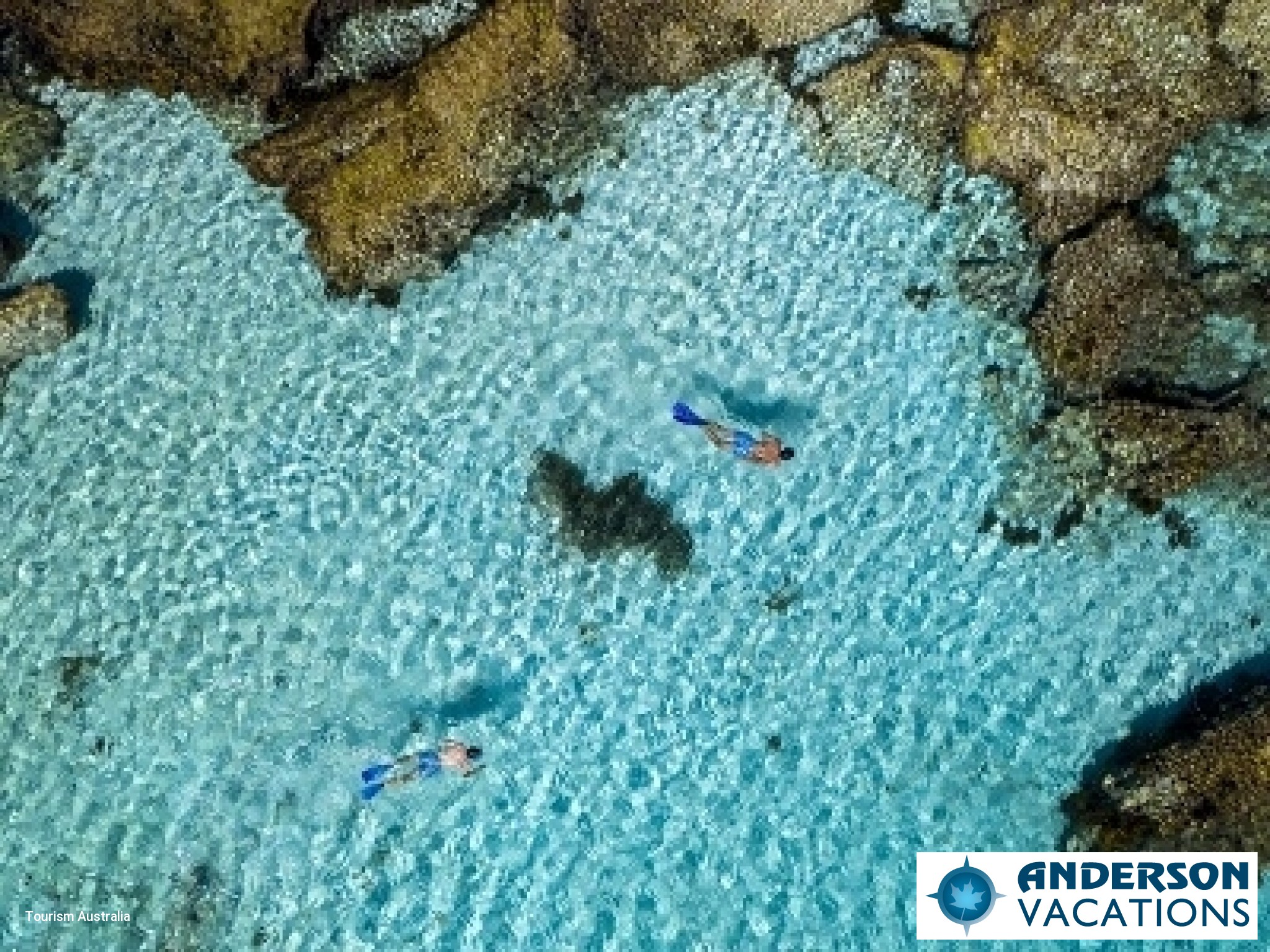 Rottnest Island - Snorkeling