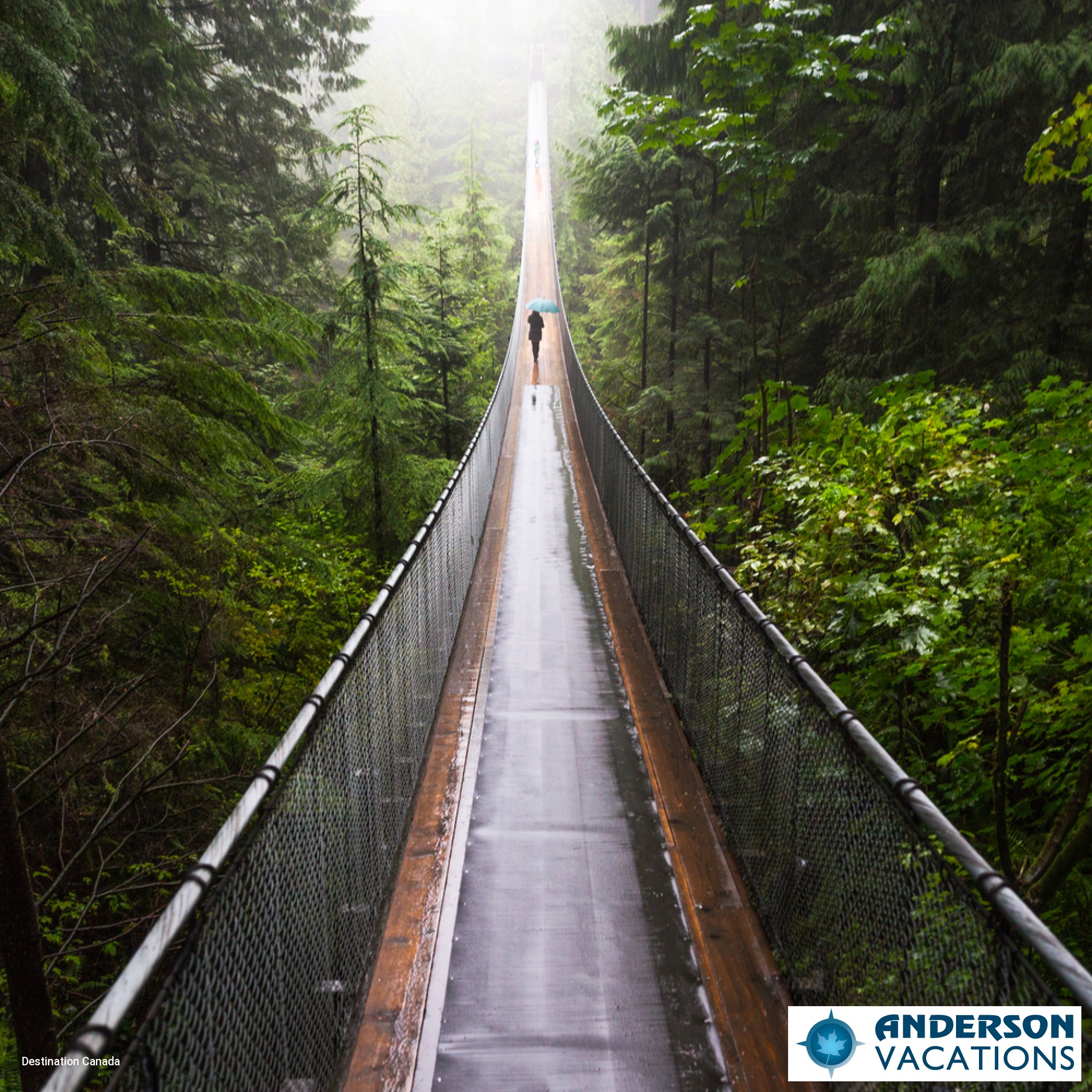 Capilano Suspension Bridge