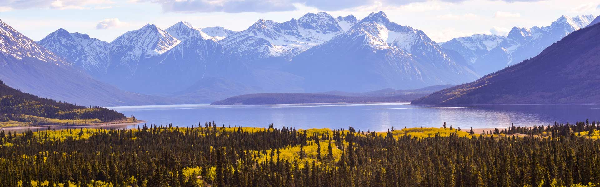 Nature Tours of Yukon