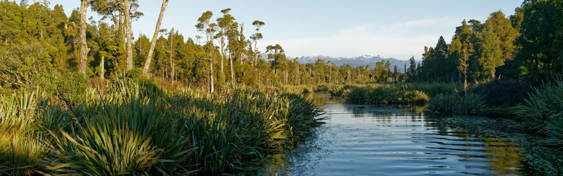 South Island