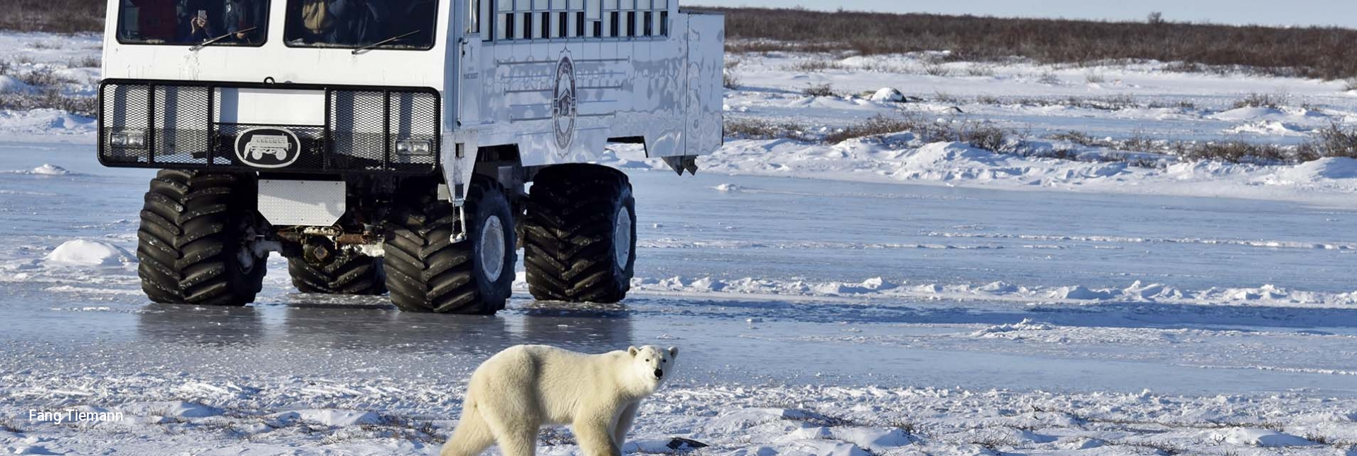 tundra buggy day tours churchill