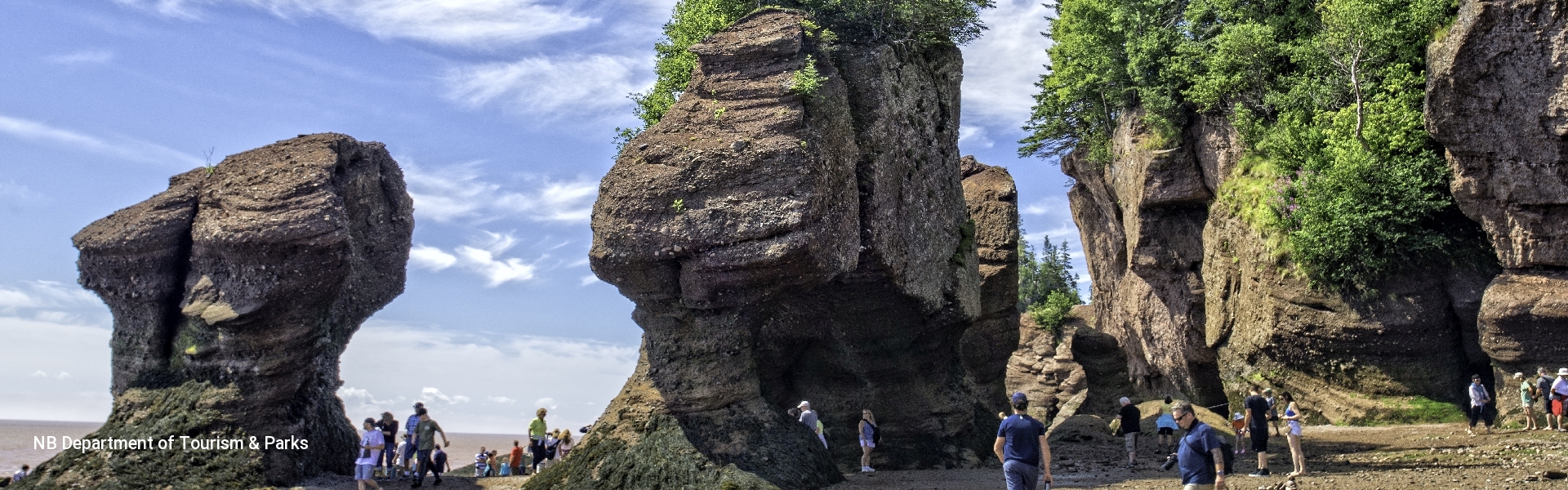 Bay of Fundy Tour (Enjoy the Wonders of the Bay of Fundy)