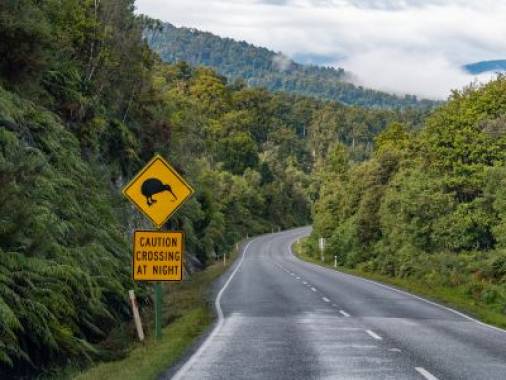 11 Day Signature Top of the South Island -(Airfare included)
