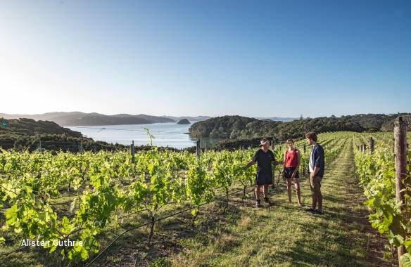 20 Day New Zealand Vista by Cruise and Coach