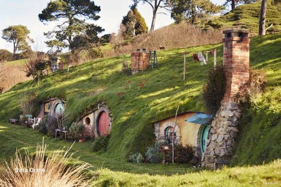 21 Day Ultimate Cruise and North Island Experience