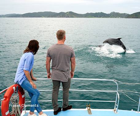 5 Day Discover the Bay of Islands