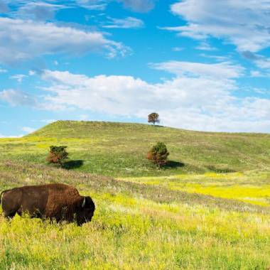 6-Day Black Hills of South Dakota