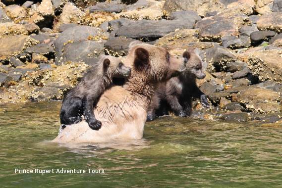 7 Day Highlights of British Columbia — a Circle Tour by Land, Sea and Air