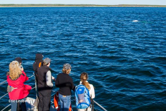 7 Day Ultimate Arctic Summer Adventure