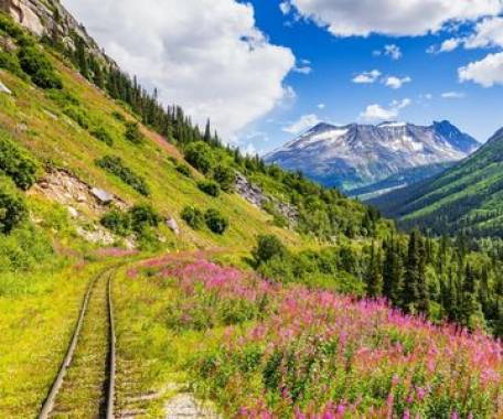 10 Day True North Adventure: The Northwest Territories and Yukon with the White Pass train to Skagway