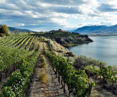 5 Day Okanagan Wine Trail