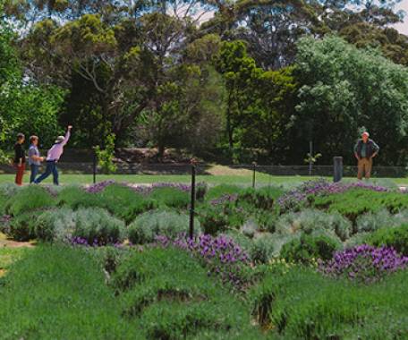 7 Day Victoria's Hidden Gems