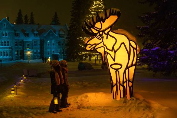 8 Day Exploring Winter Wonderland of the Canadian Rockies